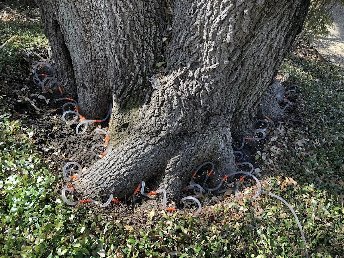 Detailed Shrub and Hedge Trimming job site in Three Oaks