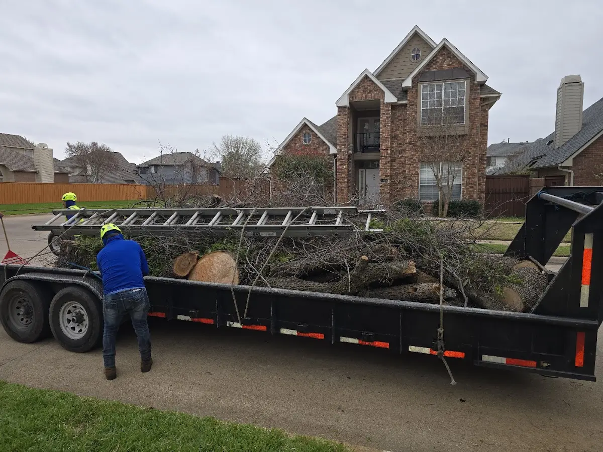 Expert Tree Pest Control with proper safety equipment in Three Oaks